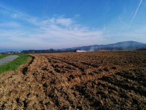 IMG 20140312 104342           