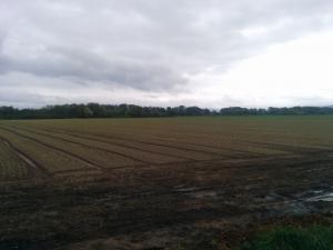 IMG 20150424 161322           